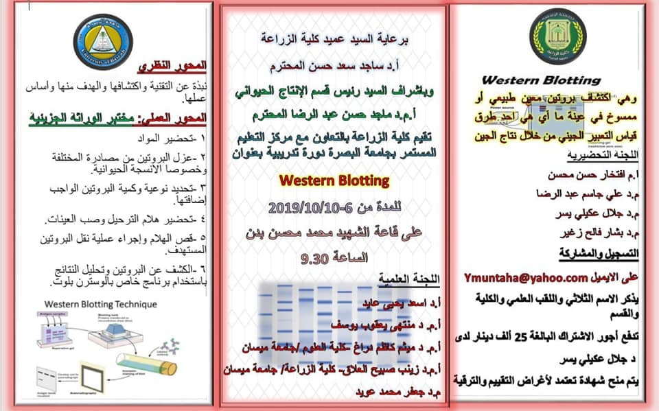 71183571 2421999988070244 9061082621651451904 n