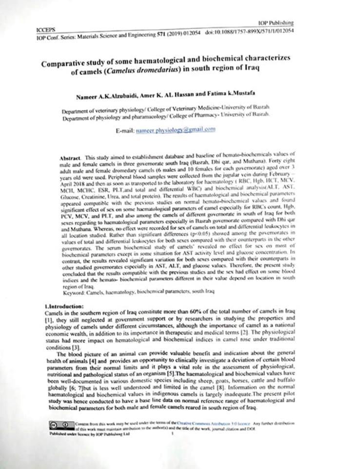 73309390 2442535136016729 8421811086495318016 n