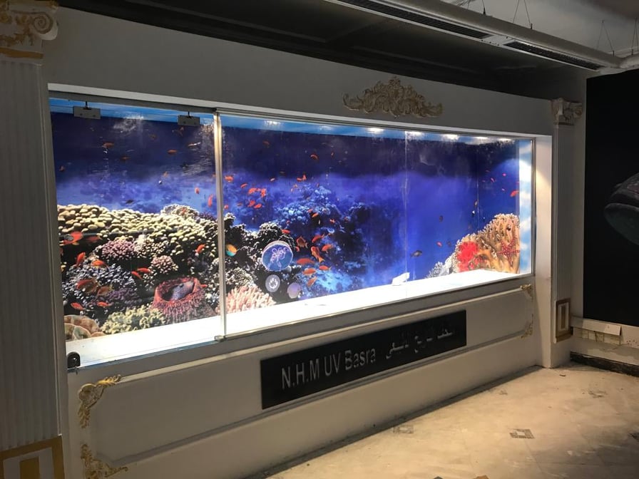 78394402 2487980818138827 7287608586962731008 n