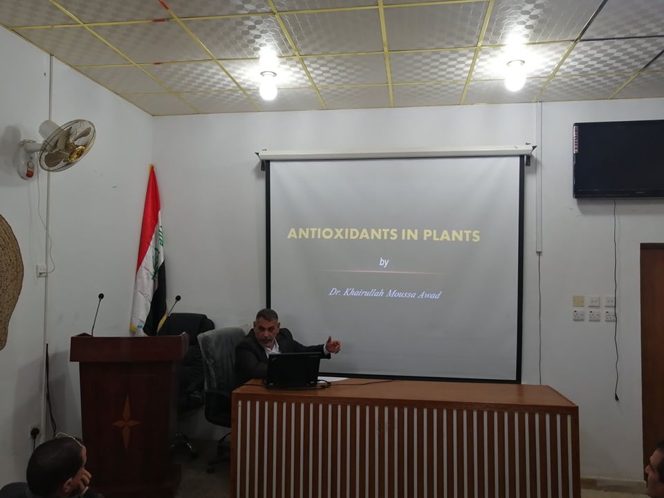 78860229 2488899798046929 8734157064063942656 n