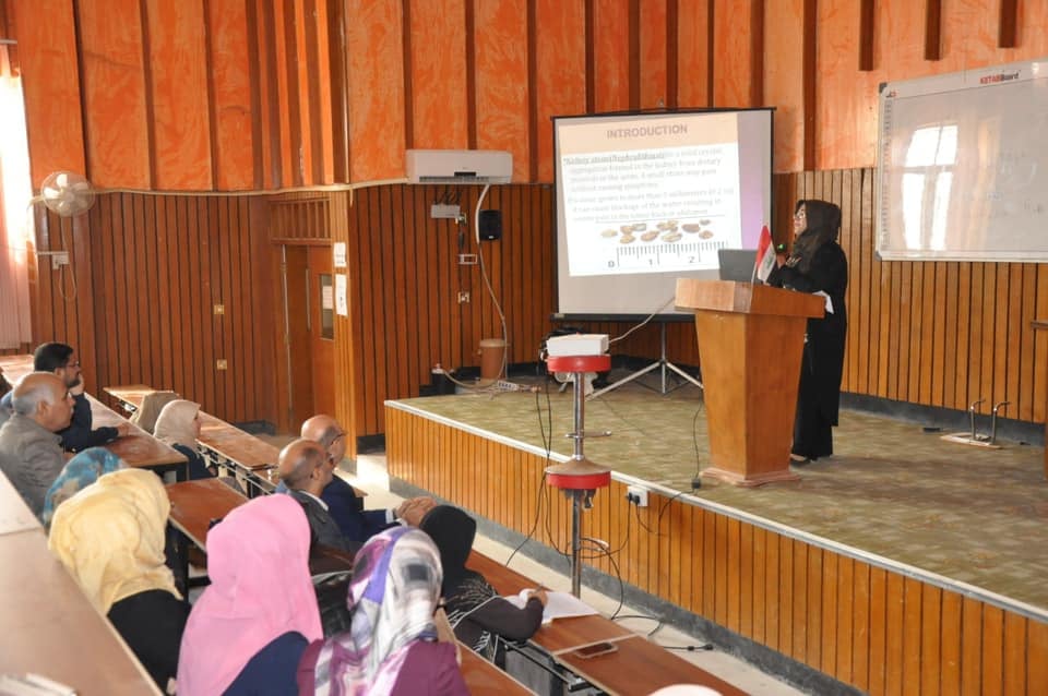 78922222 2487952114808364 1737905331746373632 n